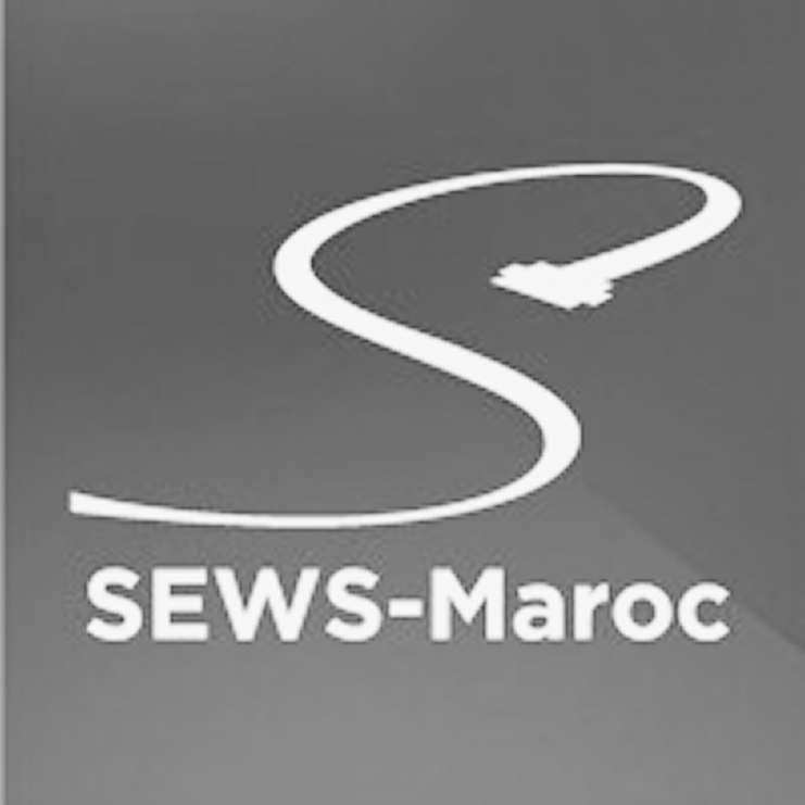 SEWS